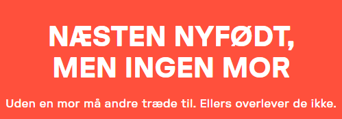 Dyrenes beskyttelse killinger